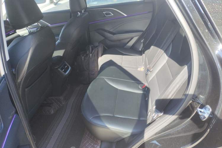 Used Haval Fierce Dragon Max 2023 1.5L Hi4 105 Four-Wheel Drive Elite Edition Left Rear Seat