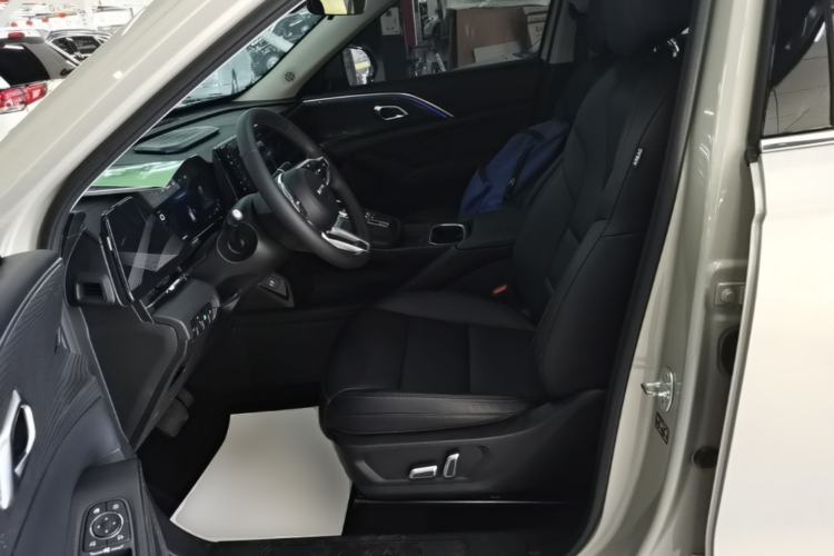 Used Haval Fierce Dragon Max 2023 1.5L Hi4 105 Four-Wheel Drive Navigation Edition Left Front Seat