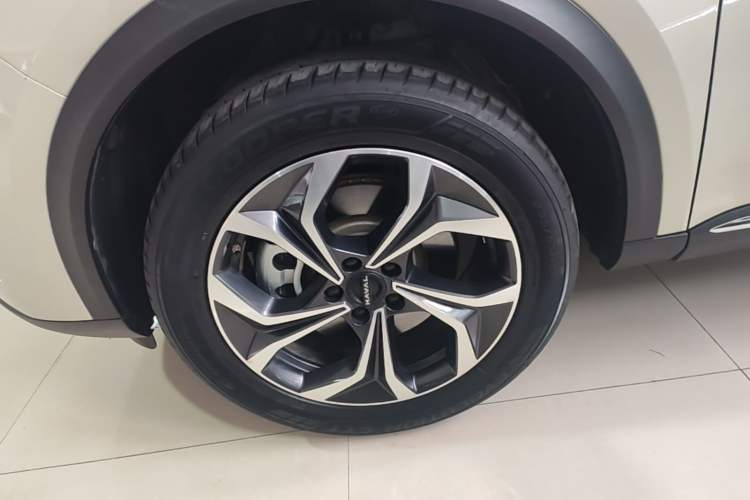 Used Haval Fierce Dragon Max 2023 1.5L Hi4 105 Four-Wheel Drive Navigation Edition Left Front Wheel Hub