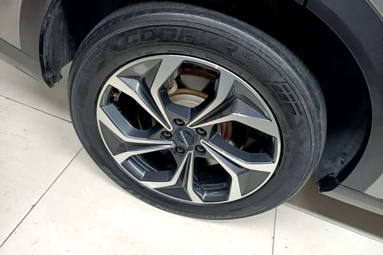 Used Haval Fierce Dragon Max 2023 1.5L Hi4 105 Four-Wheel Drive Smart Flagship Edition Exterior 5