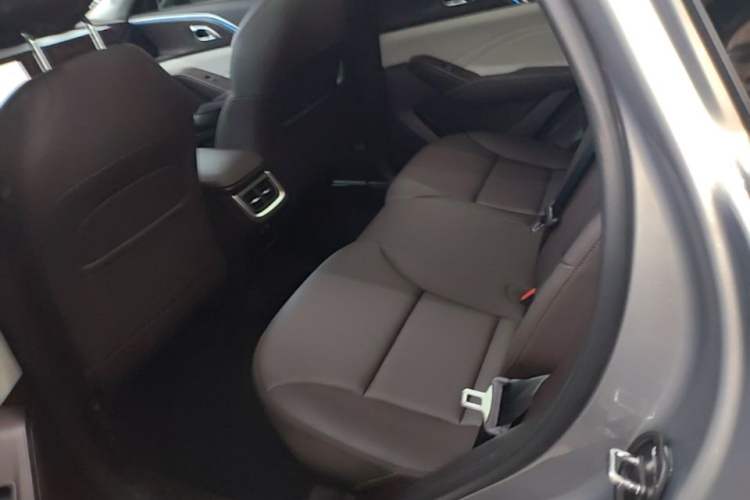 Used Haval Fierce Dragon Max 2023 1.5L Hi4 105 Four-Wheel Drive Navigation Edition Left Rear Seat