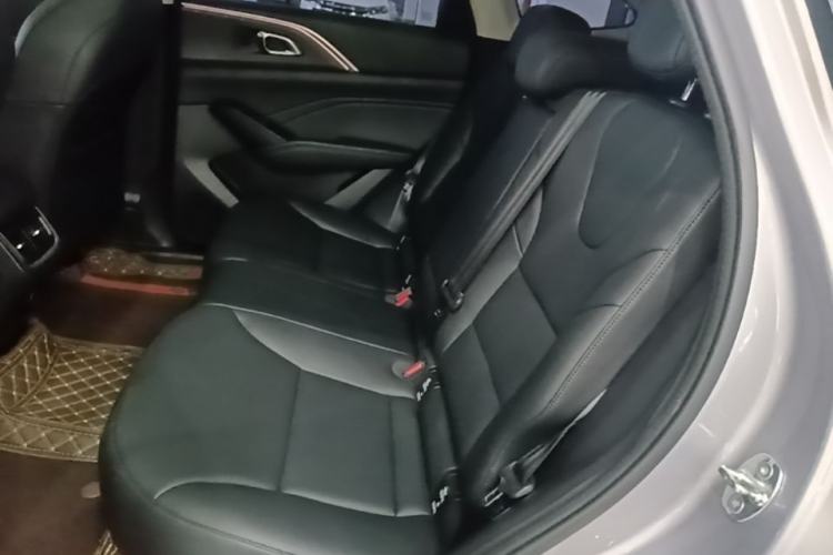 Used Haval Fierce Dragon Max 2023 1.5L Hi4 105 Four-Wheel Drive Navigation Edition Left Rear Seat