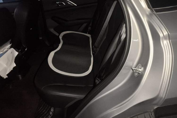 Used Haval Fierce Dragon Max 2023 1.5L Hi4 105 Four-Wheel Drive Elite Edition Left Rear Seat