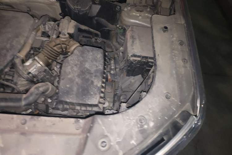 Used Haval Fierce Dragon Max 2023 1.5L Hi4 105 Four-Wheel Drive Elite Edition Engine Bay Left