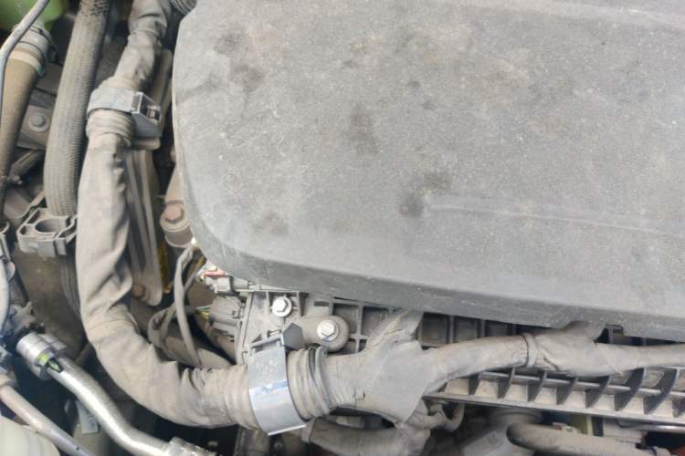 Used Haval Fierce Dragon Max 2023 1.5L Hi4 105 Four-Wheel Drive Smart Flagship Edition Engine Bay Right