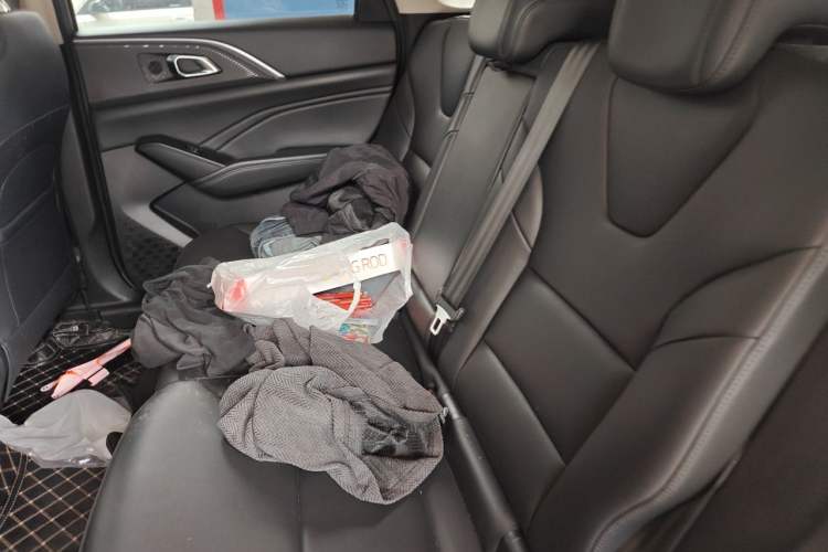 Used Haval Fierce Dragon Max 2023 1.5L Hi4 105 Four-Wheel Drive Smart Flagship Edition Left Rear Seat