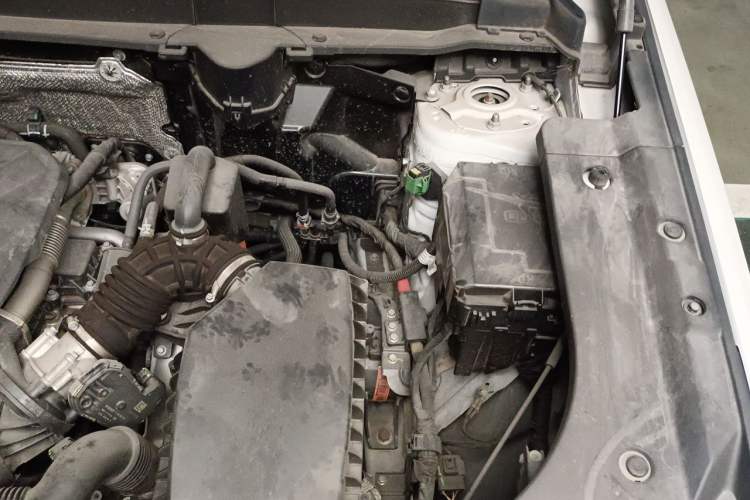 Used Haval Fierce Dragon Max 2023 1.5L Hi4 105 Four-Wheel Drive Navigation Edition Engine Bay Left