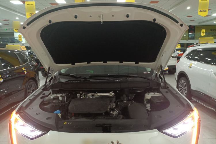 Used Haval Fierce Dragon Max 2023 1.5L Hi4 105 Four-Wheel Drive Smart Flagship Edition Engine Bay