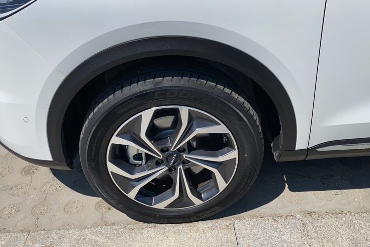 Used Haval Fierce Dragon Max 2023 1.5L Hi4 105 Four-Wheel Drive Smart Flagship Edition Exterior 7