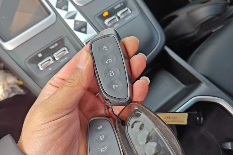 Used Haval Fierce Dragon Max 2023 1.5L Hi4 105 Four-Wheel Drive Navigation Edition Interior 1