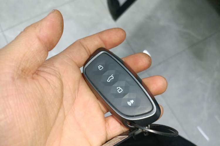 Used Haval Fierce Dragon Max 2023 1.5L Hi4 105 Four-Wheel Drive Smart Flagship Edition Interior 1