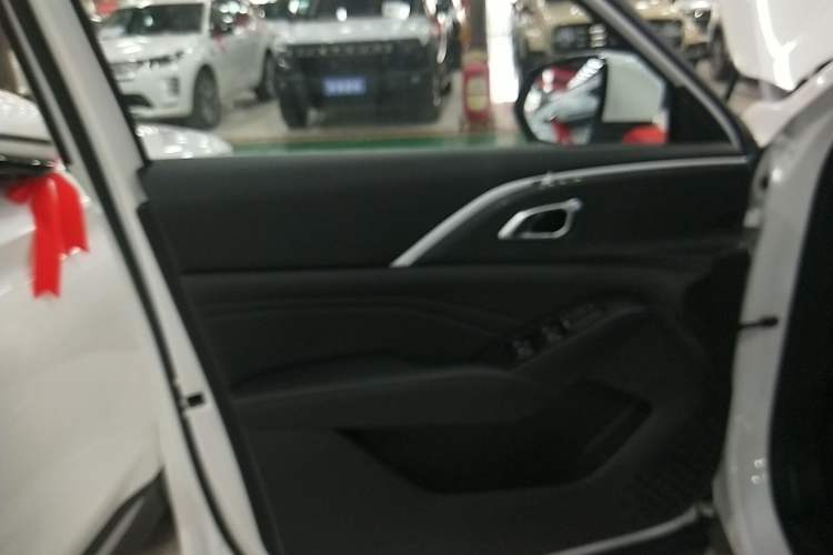 Used Haval Fierce Dragon Max 2023 1.5L Hi4 105 Four-Wheel Drive Navigation Edition Left Front Door Interior
