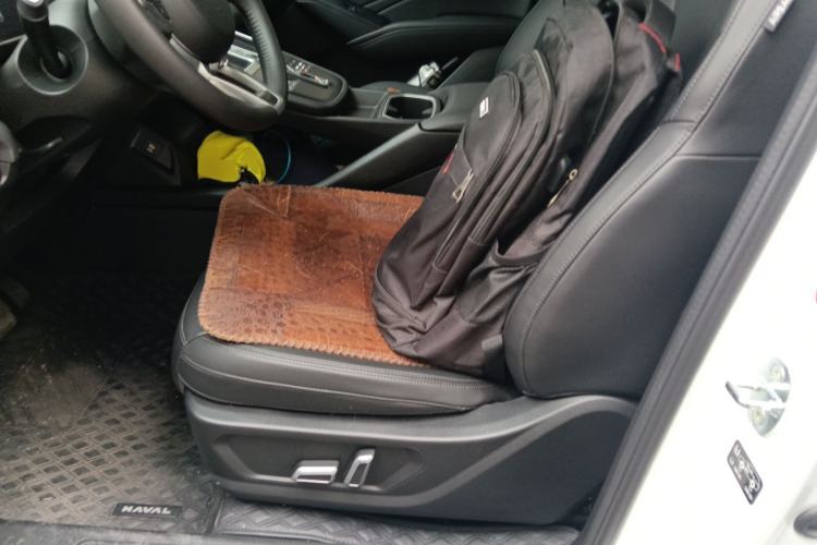 Used Haval Fierce Dragon Max 2023 1.5L Hi4 105 Four-Wheel Drive Navigation Edition Left Front Seat