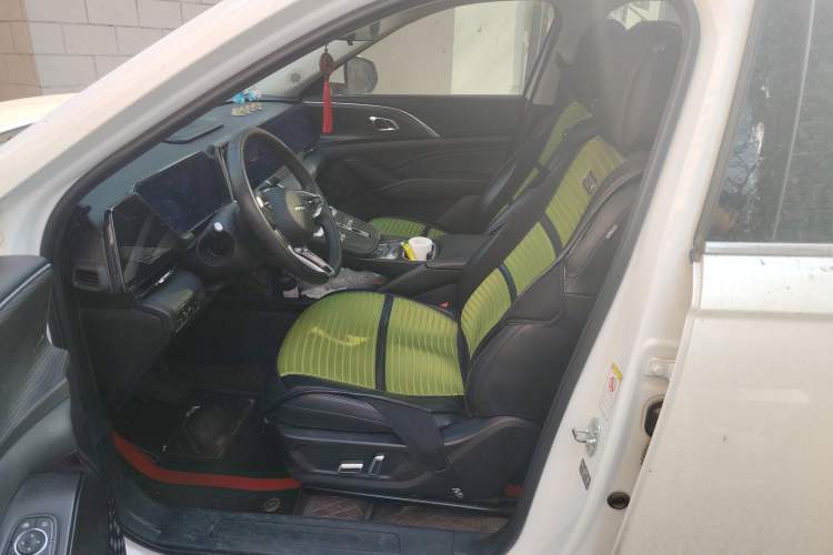 Used Haval Fierce Dragon Max 2023 1.5L Hi4 105 Four-Wheel Drive Navigation Edition Left Front Seat