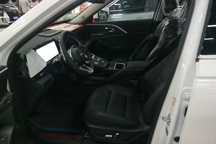 Used Haval Fierce Dragon Max 2023 1.5L Hi4 105 Four-Wheel Drive Navigation Edition Left Front Seat