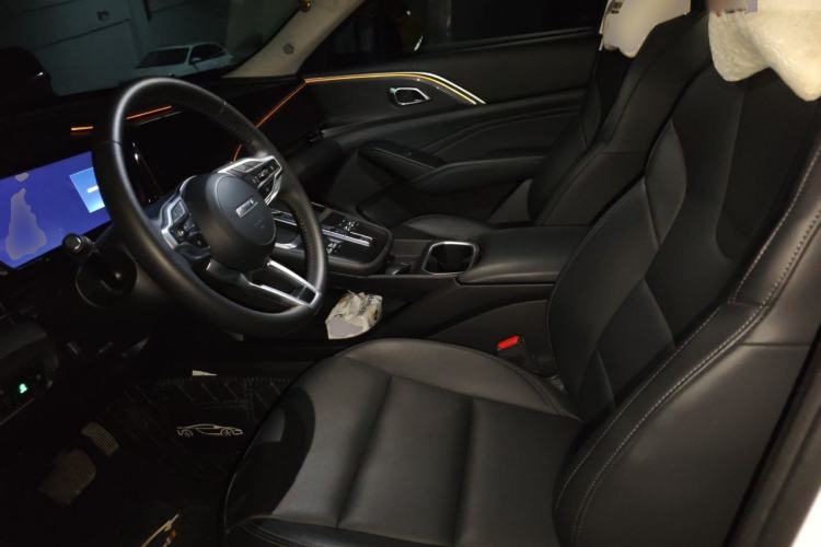 Used Haval Fierce Dragon Max 2023 1.5L Hi4 105 Four-Wheel Drive Navigation Edition Left Front Seat