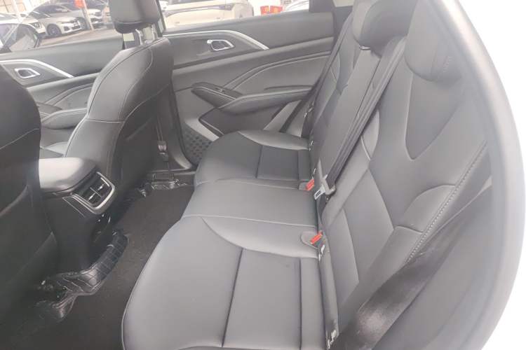 Used Haval Fierce Dragon Max 2023 1.5L Hi4 105 Four-Wheel Drive Elite Edition Left Rear Seat