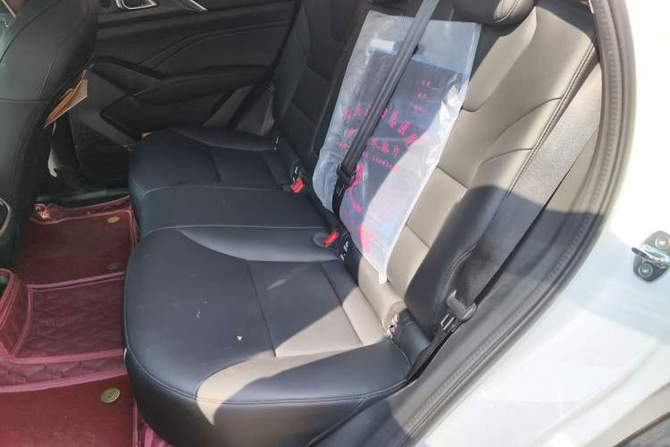 Used Haval Fierce Dragon Max 2023 1.5L Hi4 105 Four-Wheel Drive Elite Edition Left Rear Seat