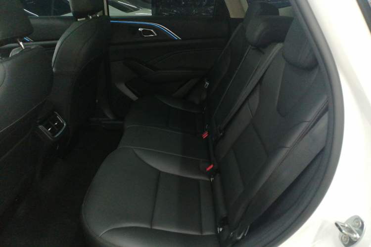 Used Haval Fierce Dragon Max 2023 1.5L Hi4 105 Four-Wheel Drive Elite Edition Left Rear Seat