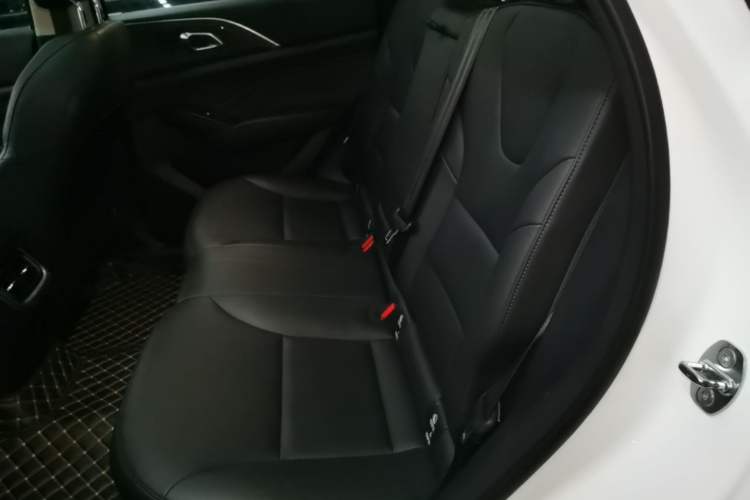Used Haval Fierce Dragon Max 2023 1.5L Hi4 105 Four-Wheel Drive Smart Flagship Edition Left Rear Seat