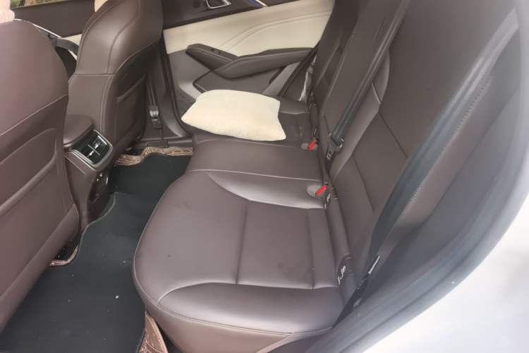 Used Haval Fierce Dragon Max 2023 1.5L Hi4 105 Four-Wheel Drive Smart Flagship Edition Left Rear Seat