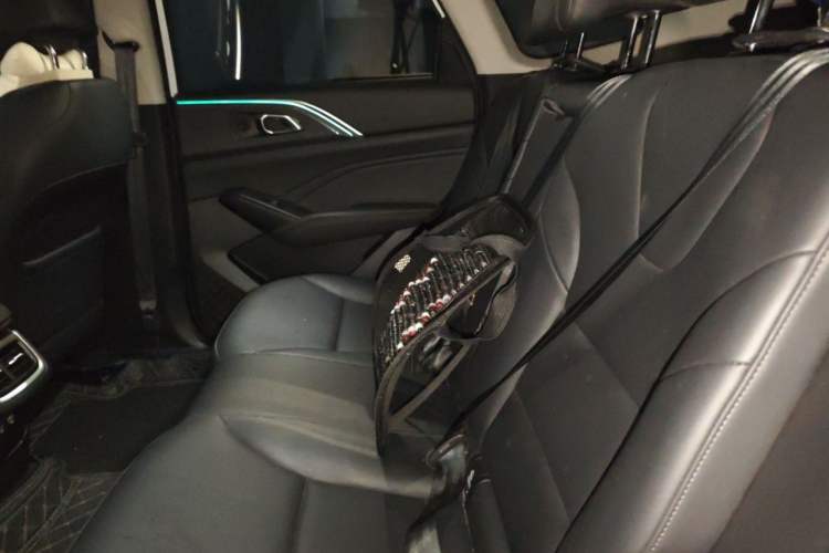Used Haval Fierce Dragon Max 2023 1.5L Hi4 105 Four-Wheel Drive Navigation Edition Left Rear Seat