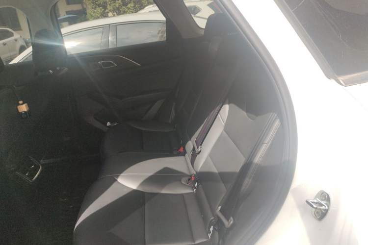Used Haval Fierce Dragon Max 2023 1.5L Hi4 105 Four-Wheel Drive Navigation Edition Left Rear Seat
