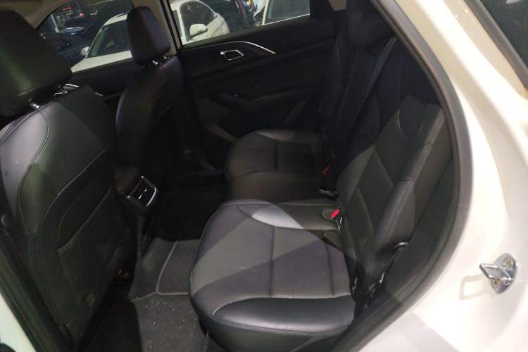 Used Haval Fierce Dragon Max 2023 1.5L Hi4 105 Four-Wheel Drive Smart Flagship Edition Left Rear Seat