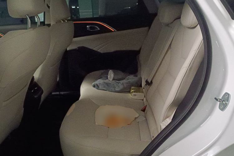 Used Haval Fierce Dragon Max 2023 1.5L Hi4 105 Four-Wheel Drive Navigation Edition Left Rear Seat