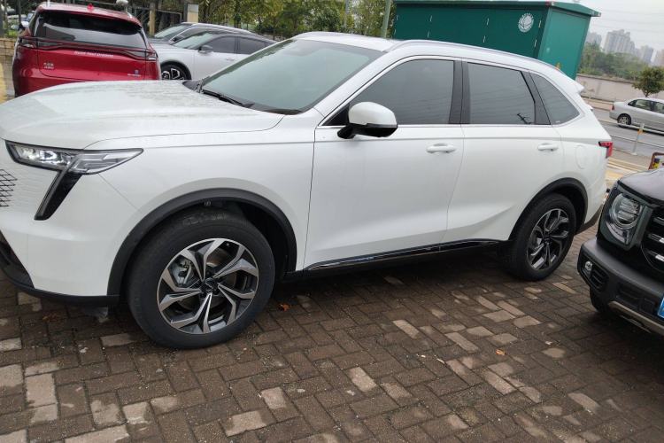 Used Haval Fierce Dragon Max 2023 1.5L Hi4 105 Four-Wheel Drive Navigation Edition Left Side