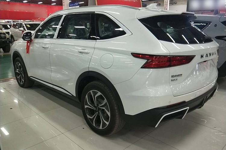 Used Haval Fierce Dragon Max 2023 1.5L Hi4 105 Four-Wheel Drive Navigation Edition Left Side