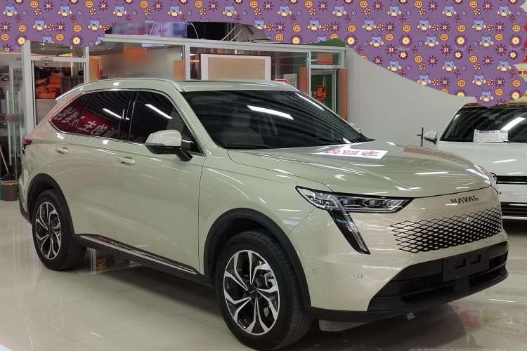 Used Haval Fierce Dragon Max 2023 1.5L Hi4 105 Four-Wheel Drive Smart Flagship Edition Exterior 2