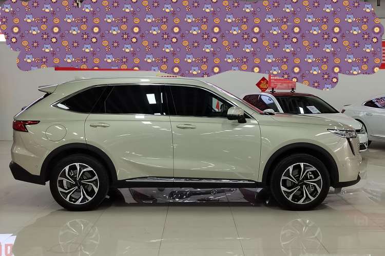 Used Haval Fierce Dragon Max 2023 1.5L Hi4 105 Four-Wheel Drive Smart Flagship Edition Exterior 3