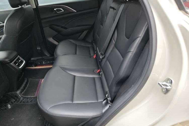 Used Haval Fierce Dragon Max 2023 1.5L Hi4 105 Four-Wheel Drive Navigation Edition Left Rear Seat