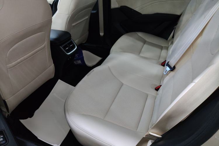 Used Haval Fierce Dragon Max 2023 1.5L Hi4 105 Four-Wheel Drive Navigation Edition Left Rear Seat