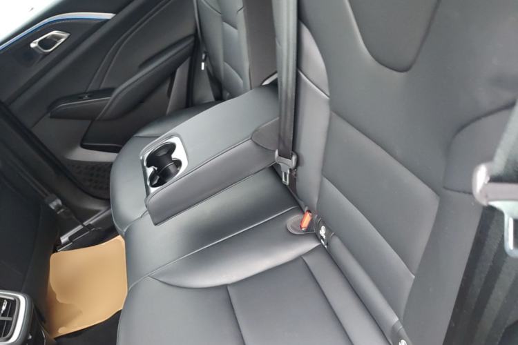 Used Haval Fierce Dragon Max 2023 1.5L Hi4 105 Four-Wheel Drive Smart Flagship Edition Left Rear Seat