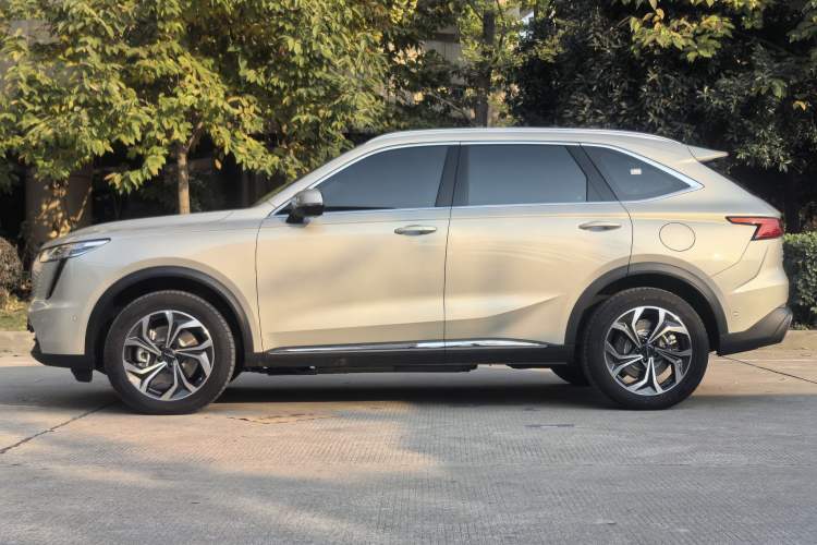Used Haval Fierce Dragon Max 2023 1.5L Hi4 105 Four-Wheel Drive Smart Flagship Edition Left Side