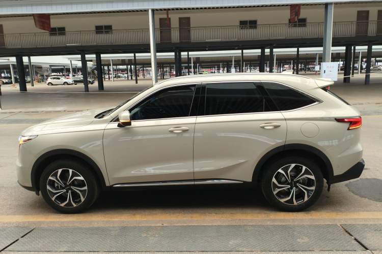 Used Haval Fierce Dragon Max 2023 1.5L Hi4 105 Four-Wheel Drive Smart Flagship Edition Left Side