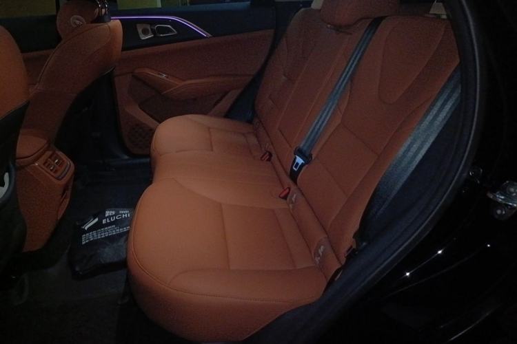 Used Haval Fierce Dragon Max 2025 Hi4 165 Plus Long-Range Version Left Rear Seat