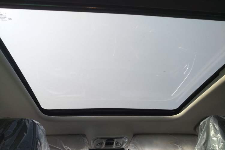 Used Haval Fierce Dragon Max 2025 Hi4 110 Plus Smart Drive Edition Headliner
