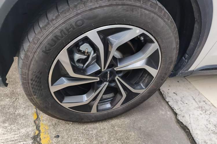 Used Haval Fierce Dragon Max 2025 Hi4 110 Pro Left Front Wheel Hub