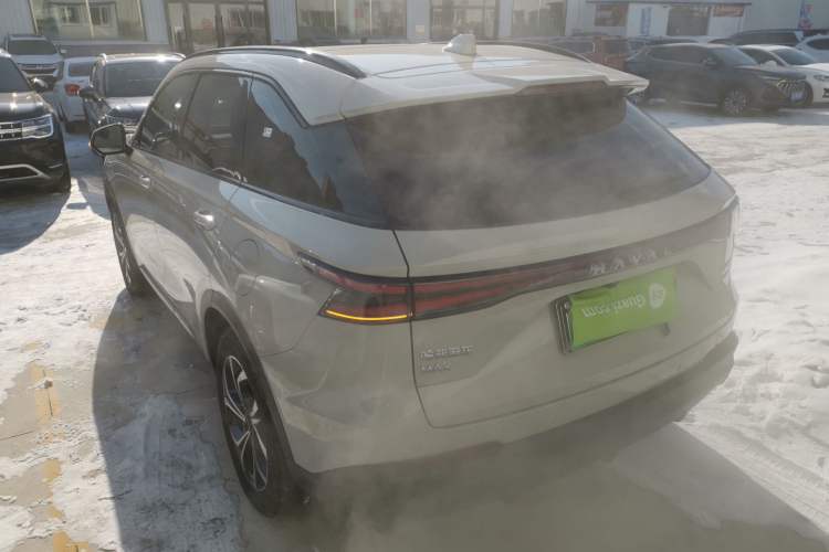 Used Haval Fierce Dragon Max 2025 Hi4 110 Pro Rear Left 45 Deg