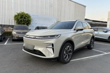 Used Haval Fierce Dragon Max 2025 Hi4 165 Ultra Smart Drive Edition