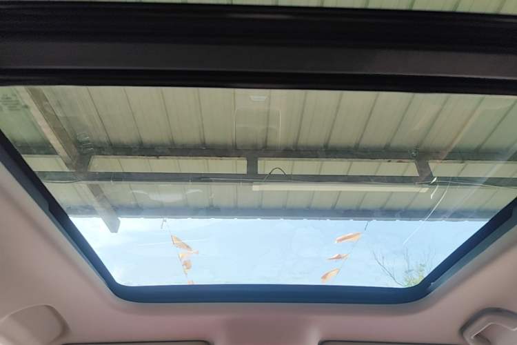 Used Haval Fierce Dragon Max 2025 Hi4 110 Plus Smart Drive Edition Headliner