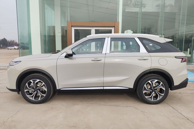 Used Haval Fierce Dragon Max 2025 Hi4 110 Pro Left Side