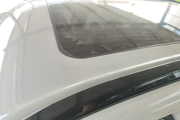Used Haval Fierce Dragon Max 2025 Hi4 110 Plus Smart Drive Edition Roof