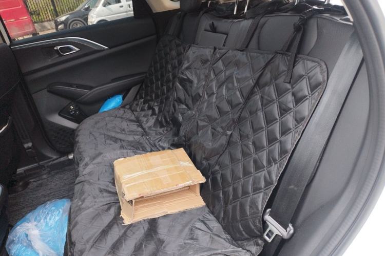 Used Haval Fierce Dragon Max 2025 Hi4 165 Plus Long-Range Version Left Rear Seat