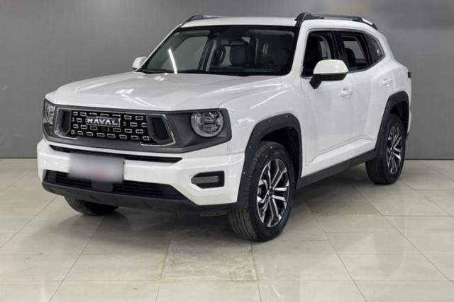 Used Haval H Dog 2023 2.0T Two-Wheel Drive Chaoye Version Plus
