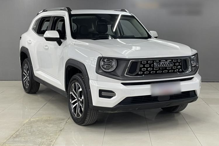 Used Haval H Dog 2023 2.0T Two-Wheel Drive Chaoye Version Plus Exterior 2