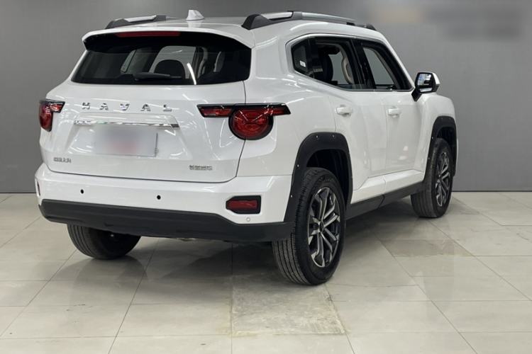 Used Haval H Dog 2023 2.0T Two-Wheel Drive Chaoye Version Plus Exterior 4